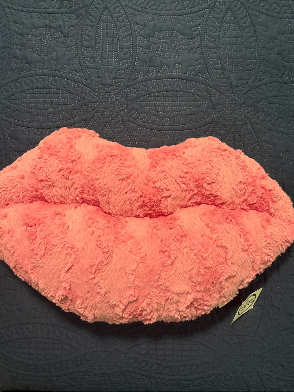 Aspen Grove Minky Lip Accent Pillow in Pink